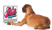 perro tv