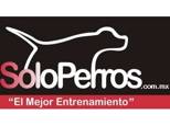 soloperros